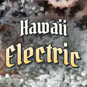 Hawaii Electric Cannabis Strain