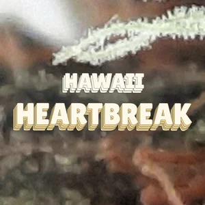 Hawaii Heartbreak Cannabis Strain