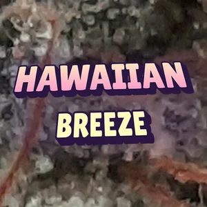 Hawaiian Breeze Cannabis Strain