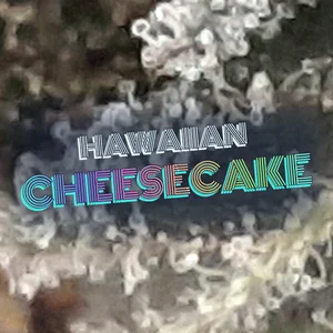 Hawaiian Cheesecake Cannabis Strain