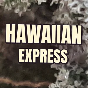 Hawaiian Express Cannabis Strain