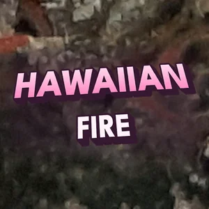 Hawaiian Fire Cannabis Strain