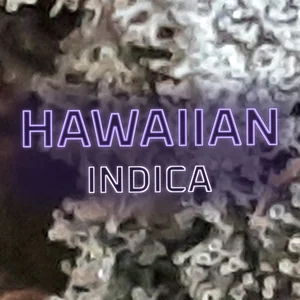Hawaiian Indica Cannabis Strain
