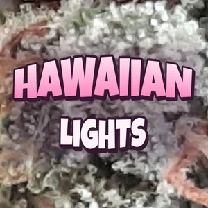 Hawaiian Lights Cannabis Strain