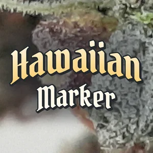 Hawaiian Marker Cannabis Strain