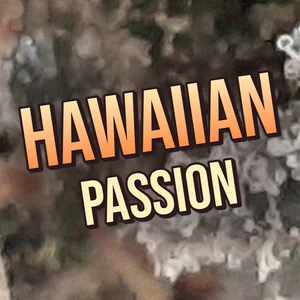 Hawaiian Passion Cannabis Strain