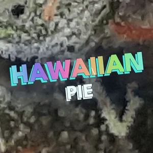 Hawaiian Pie Cannabis Strain
