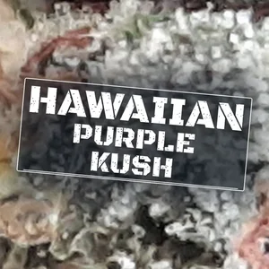 Hawaiian Purple Kush Cannabis Strain