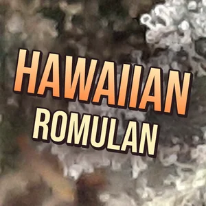 Hawaiian Romulan Cannabis Strain