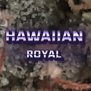 Hawaiian Royal Cannabis Strain