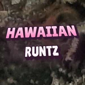 Hawaiian Runtz Cannabis Strain