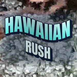 Hawaiian Rush Cannabis Strain