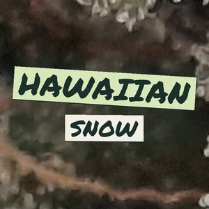 Hawaiian Snow Cannabis Strain