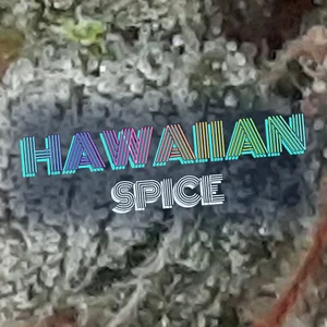 Hawaiian Spice Cannabis Strain
