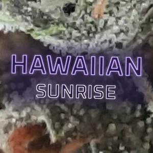 Hawaiian Sunrise Cannabis Strain