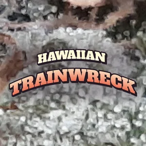 Hawaiian Trainwreck Cannabis Strain