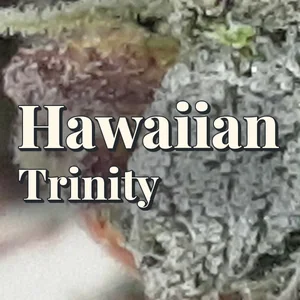Hawaiian Trinity Cannabis Strain