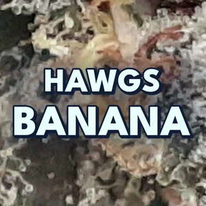 Hawgs Banana Cannabis Strain