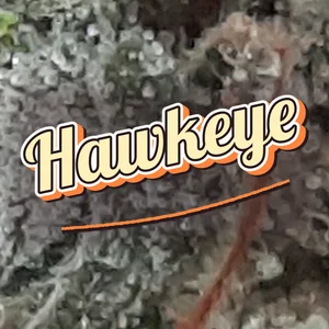 Hawkeye Cannabis Strain