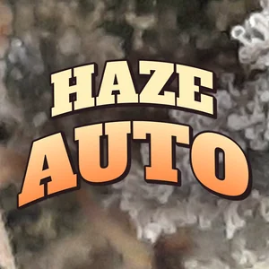 Haze Auto Cannabis Strain