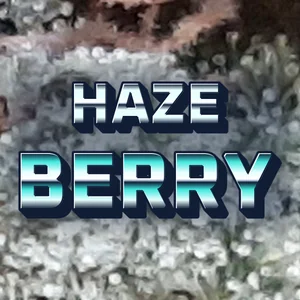 Haze Berry Cannabis Strain