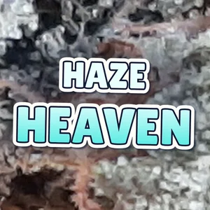 Haze Heaven Cannabis Strain