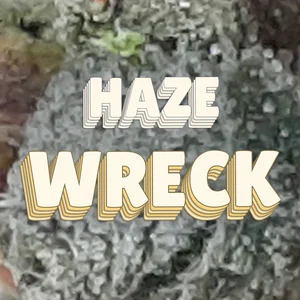 Haze Wreck Cannabis Strain