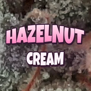 Hazelnut Cream Cannabis Strain