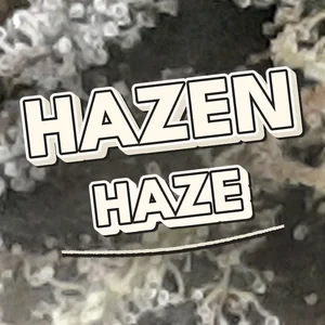 Hazen Haze Cannabis Strain