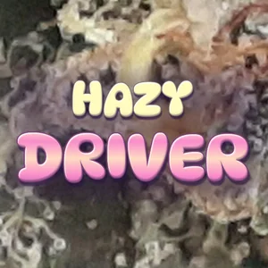 Hazy Driver Cannabis Strain