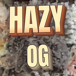 Hazy OG Cannabis Strain