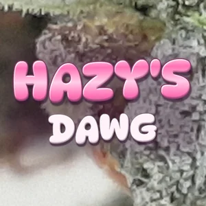 Hazy's Dawg Cannabis Strain