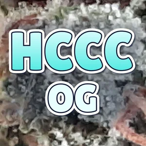 HCCC OG Cannabis Strain