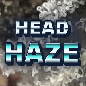 Head Haze Cannabis Strain