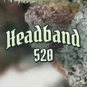 Headband 520 Cannabis Strain