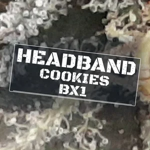 Headband Cookies Bx1 Cannabis Strain