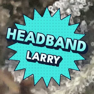 Headband Larry Cannabis Strain
