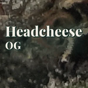 Headcheese OG Cannabis Strain