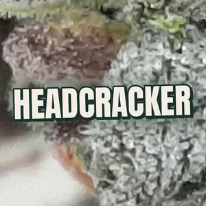 Headcracker Cannabis Strain