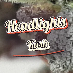 Headlights Kush Cannabis Strain