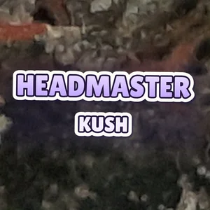 Headmaster Kush Cannabis Strain