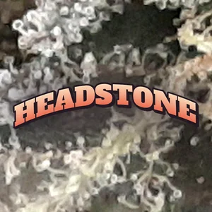 Headstone Cannabis Strain