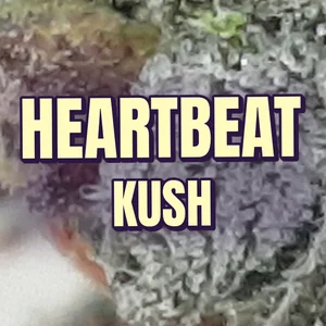 Heartbeat Kush Cannabis Strain