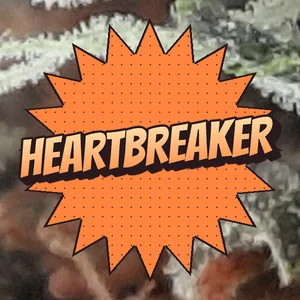 Heartbreaker Cannabis Strain