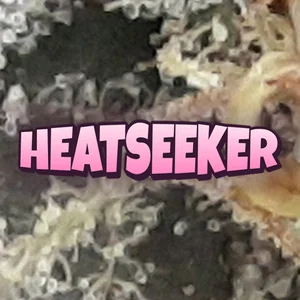 Heatseeker Cannabis Strain