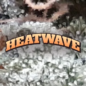Heatwave Cannabis Strain