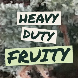 Heavy Duty Fruity Cannabis Strain
