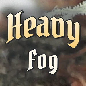 Heavy Fog Cannabis Strain