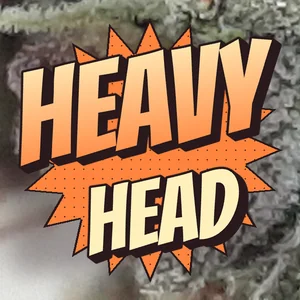 Heavy Head Cannabis Strain
