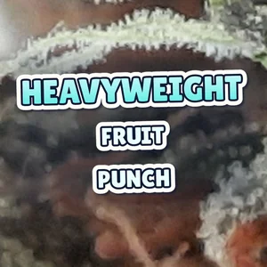 Heavyweight Fruit Punch Cannabis Strain